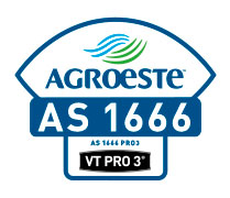 AS 1666 - O superprecoce verstil e produtivo