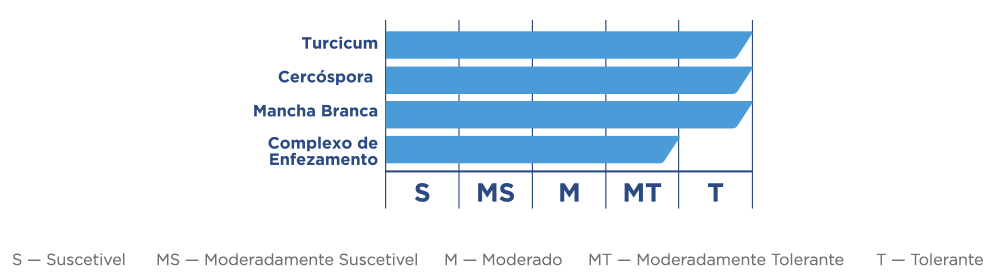 Gráfico de Sanidade